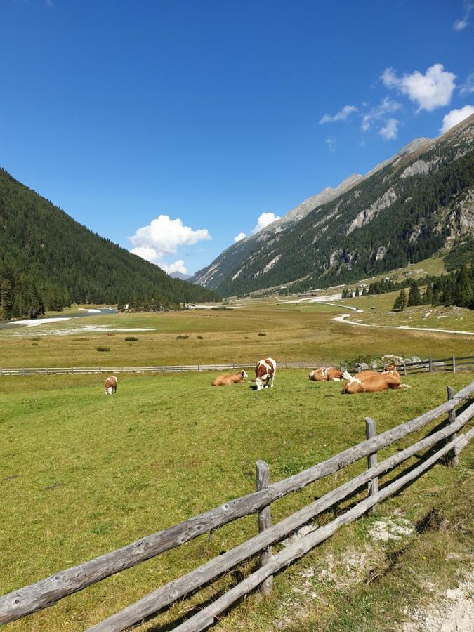 Haus Renswouw Hotel Hollersbach im Pinzgau Exterior foto